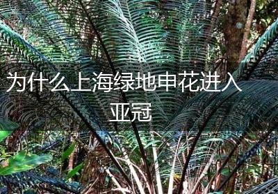 为什么上海绿地申花进入亚冠