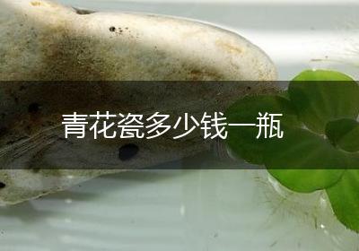 青花瓷多少钱一瓶