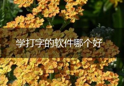 学打字的软件哪个好