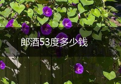 郎酒53度多少钱