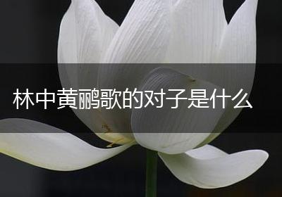 林中黄鹂歌的对子是什么