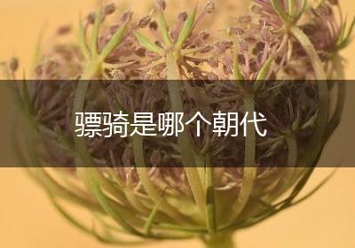 骠骑是哪个朝代