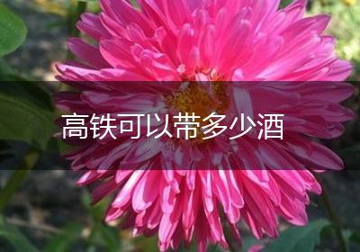 高铁可以带多少酒