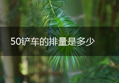 50铲车的排量是多少
