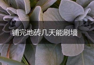 铺完地砖几天能刷墙