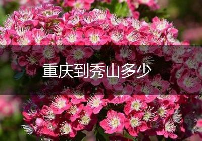 重庆到秀山多少