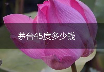 茅台45度多少钱