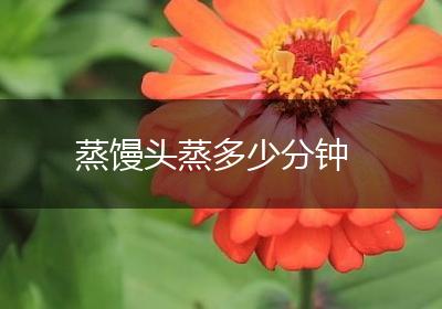 蒸馒头蒸多少分钟