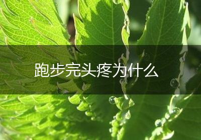 跑步完头疼为什么