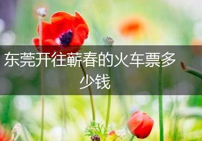 东莞开往蕲春的火车票多少钱