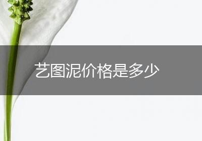 艺图泥价格是多少
