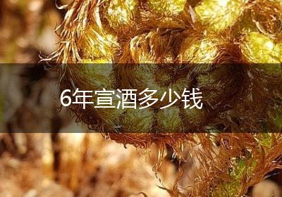 6年宣酒多少钱