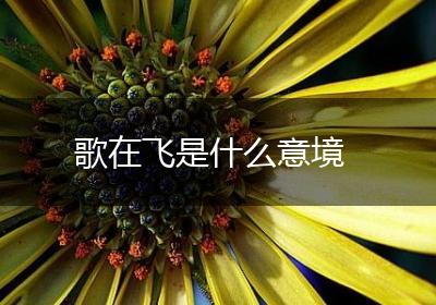 歌在飞是什么意境