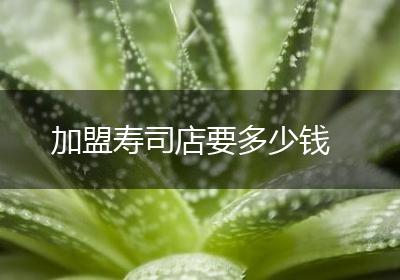 加盟寿司店要多少钱