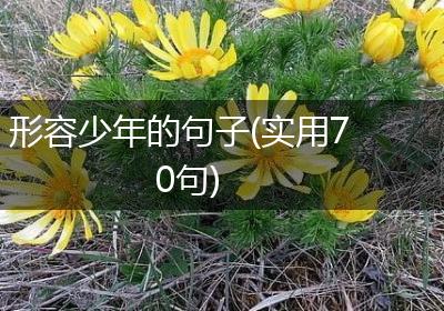 形容少年的句子(实用70句)