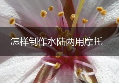 怎样制作水陆两用摩托
