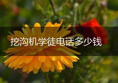 挖沟机学徒电话多少钱