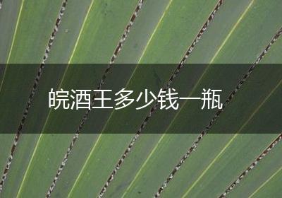皖酒王多少钱一瓶