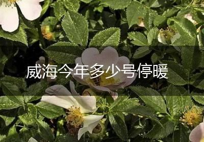 威海今年多少号停暖