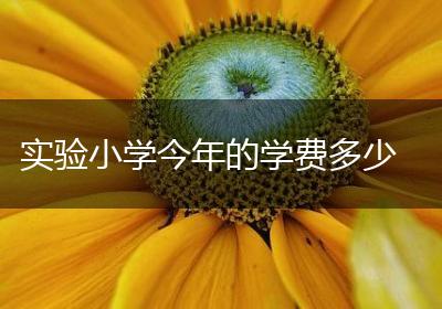 实验小学今年的学费多少