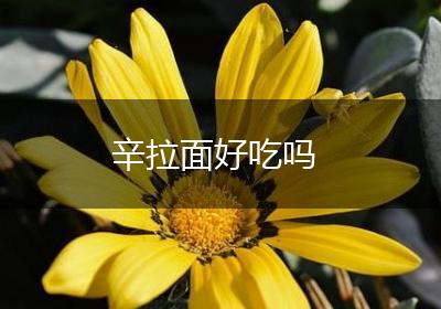 辛拉面好吃吗