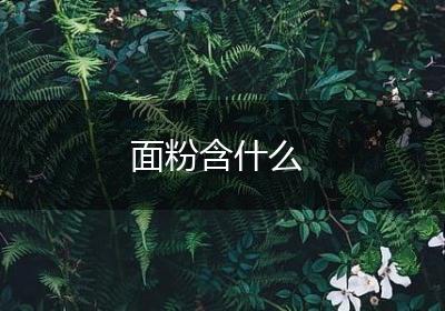 面粉含什么