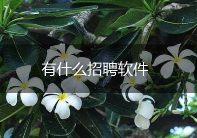 有什么招聘软件