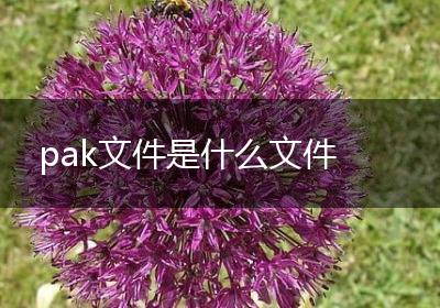 pak文件是什么文件