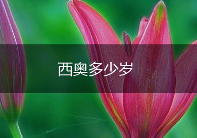 西奥多少岁