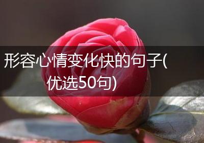 形容心情变化快的句子(优选50句)