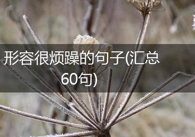 形容很烦躁的句子(汇总60句)