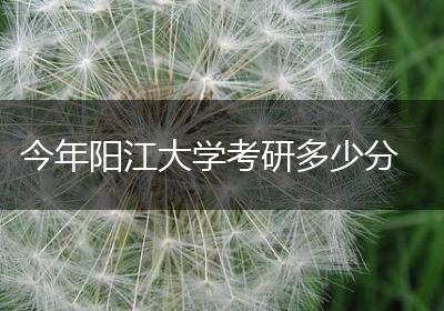 今年阳江大学考研多少分