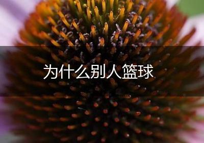 为什么别人篮球