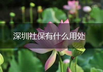 深圳社保有什么用处