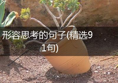 形容思考的句子(精选91句)
