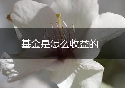 基金是怎么收益的