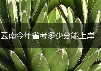 云南今年省考多少分能上岸