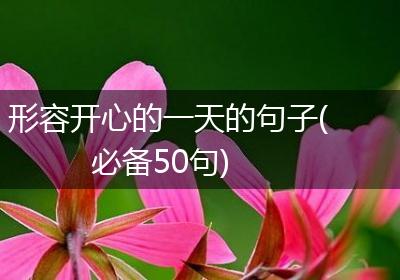 形容开心的一天的句子(必备50句)