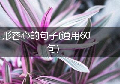 形容心的句子(通用60句)