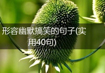 形容幽默搞笑的句子(实用40句)
