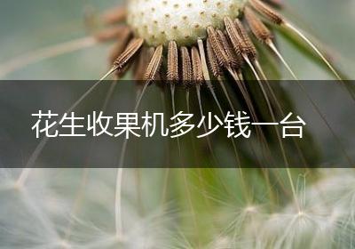 花生收果机多少钱一台