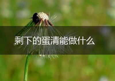 剩下的蛋清能做什么