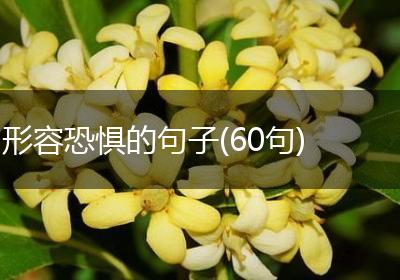 形容恐惧的句子(60句)