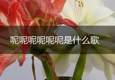 呢呢呢呢呢呢是什么歌