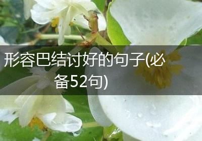 形容巴结讨好的句子(必备52句)