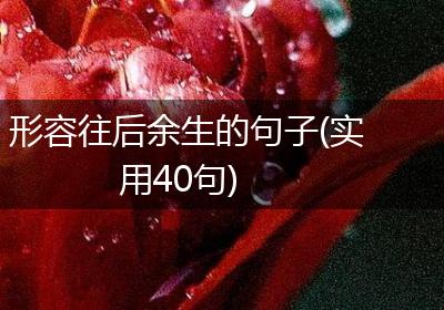 形容往后余生的句子(实用40句)