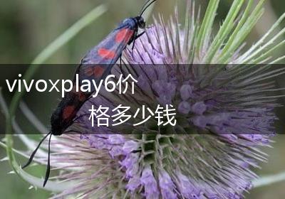 vivoxplay6价格多少钱