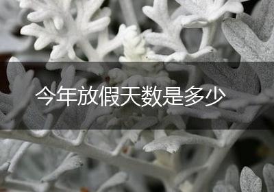 今年放假天数是多少
