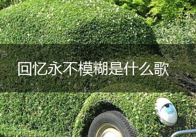 回忆永不模糊是什么歌