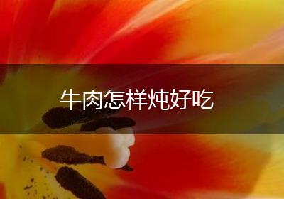 牛肉怎样炖好吃